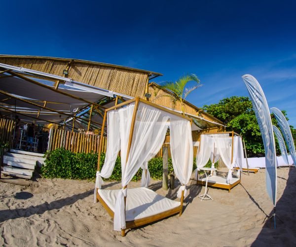 Carnaval_Parador_11.02-182